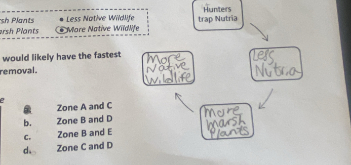 Hunters
sh Plants Less Native Wildlife trap Nutria
rsh Plants More Native Wildlife
would likely have the fastest
removal.
e
a Zone A and C
b. Zone B and D
C. Zone B and E
d、 Zone C and D