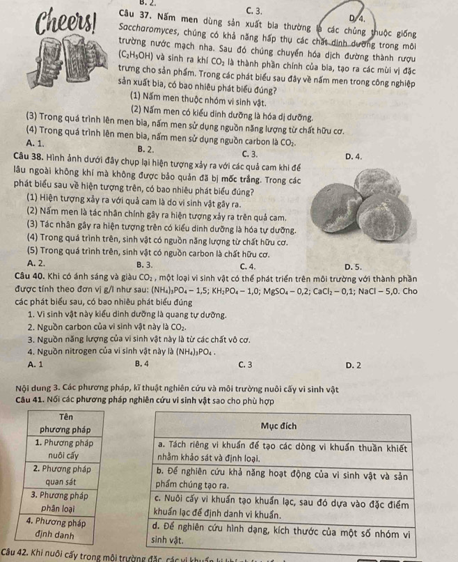 B. 2.
C. 3. D. 4.
Câu 37. Nấm men dùng sản xuất bia thường là các chủng thuộc giống
Saccharomyces, chúng có khả năng hấp thụ các chất dịnh dường trong môi
trường nước mạch nha. Sau đó chúng chuyển hóa dịch đường thành rượu
(C_2H_5OH) và sinh ra khí CO_2 là thành phần chính của bia, tạo ra các mùi vị đặc
trưng cho sản phẩm. Trong các phát biểu sau đây về nấm men trong công nghiệp
sản xuất bia, có bao nhiêu phát biểu đúng?
(1) Nấm men thuộc nhóm vi sinh vật.
(2) Nấm men có kiểu dinh dưỡng là hóa dị dưỡng.
(3) Trong quá trình lên men bia, nấm men sử dụng nguồn năng lượng từ chất hữu cơ.
(4) Trong quá trình lên men bia, nấm men sử dụng nguồn carbon là CO_2.
A. 1. B. 2. C. 3.
Câu 38. Hình ảnh dưới đây chụp lại hiện tượng xảy ra với các quả cam khi để D. 4.
lâu ngoài không khí mà không được bảo quản đã bị mốc trắng. Trong các
phát biểu sau về hiện tượng trên, có bao nhiêu phát biểu đúng?
(1) Hiện tượng xảy ra với quả cam là do vi sinh vật gây ra.
(2) Nấm men là tác nhân chính gây ra hiện tượng xảy ra trên quả cam.
(3) Tác nhân gây ra hiện tượng trên có kiểu dinh dưỡng là hóa tự dưỡng.
(4) Trong quá trình trên, sinh vật có nguồn năng lượng từ chất hữu cơ.
(5) Trong quá trình trên, sinh vật có nguồn carbon là chất hữu cơ.
A. 2. B. 3. C. 4. D. 5.
Câu 40. Khi có ánh sáng và giàu CO_2 , một loại vi sinh vật có thể phát triển trên môi trường với thành phần
được tính theo đơn vị g/l như sau: (NH_4)_3PO_4-1,5;KH_2PO_4-1,0;MgSO_4-0,2;CaCl_2-0,1;; Na CI-5,0. Cho
các phát biểu sau, có bao nhiêu phát biểu đúng
1. Vi sinh vật này kiểu dinh dưỡng là quang tự dưỡng.
2. Nguồn carbon của vi sinh vật này là CO_2.
3. Nguồn năng lượng của vi sinh vật này là từ các chất vô cơ,
4. Nguồn nitrogen của vì sinh vật này là (NH_4)_3PO_4.
A. 1 B. 4 C. 3 D. 2
Nội dung 3. Các phương pháp, kĩ thuật nghiên cứu và môi trường nuôi cấy vi sinh vật
Câu 41. Nối các phương pháp nghiên cứu vi sinh vật sao cho phù hợp
 
 
 
 
 
 
 
 
Câu 42. Khi nuôi cấy trong môi trường đặc, các vi khuẩn