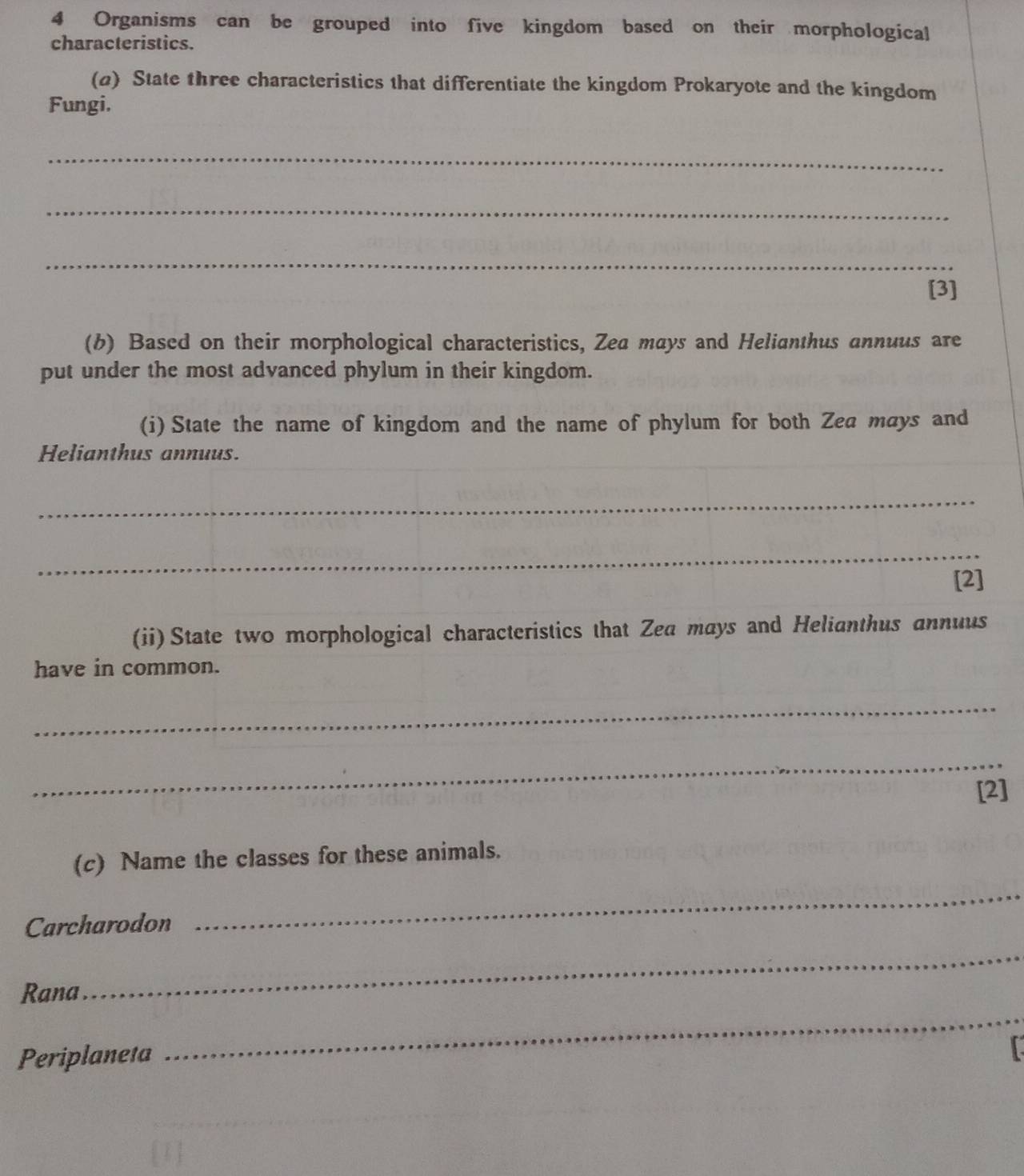 Organisms can be grouped into five kingdom based on their morphological 
characteristics. 
(a) State three characteristics that differentiate the kingdom Prokaryote and the kingdom 
Fungi. 
_ 
_ 
_ 
[3] 
(b) Based on their morphological characteristics, Zea mays and Helianthus annuus are 
put under the most advanced phylum in their kingdom. 
(i) State the name of kingdom and the name of phylum for both Zea mays and 
Helianthus annuus. 
_ 
_ 
[2] 
(ii) State two morphological characteristics that Zea mays and Helianthus annuus 
have in common. 
_ 
_ 
[2] 
(c) Name the classes for these animals. 
Carcharodon 
_ 
_ 
Rana 
_ 
Periplaneta