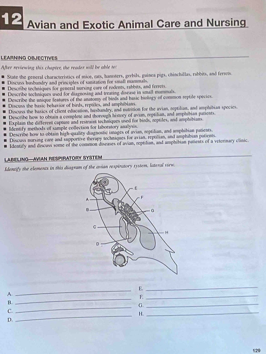 Avian and Exotic Animal Care and Nursing 
LEARNING OBJECTIVES 
After reviewing this chapter, the reader will be able to: 
State the general characteristics of mice, rats, hamsters, gerbils, guinea pigs, chinchillas, rabbits, and ferrets. 
Discuss husbandry and principles of sanitation for small mammals. 
Describe techniques for general nursing care of rodents, rabbits, and ferrets. 
Describe techniques used for diagnosing and treating disease in small mammals. 
Describe the unique features of the anatomy of birds and basic biology of common reptile species. 
Discuss the basic behavior of birds, reptiles, and amphibians. 
Discuss the basics of client education, husbandry, and nutrition for the avian, reptilian, and amphibian species. 
Describe how to obtain a complete and thorough history of avian, reptilian, and amphibian patients. 
Explain the different capture and restraint techniques used for birds, reptiles, and amphibians. 
Identify methods of sample collection for laboratory analysis. 
Describe how to obtain high-quality diagnostic images of avian, reptilian, and amphibian patients. 
Discuss nursing care and supportive therapy techniques for avian, reptilian, and amphibian patients. 
Identify and discuss some of the common diseases of avian, reptilian, and amphibian patients of a veterinary clinic 
LABELING—AVIAN RESPIRATORY SYSTEM 
Identify the elements in this diagram of the avian respiratory system, lateral view. 
_E. 
_ 
_ 
A. 
F. 
_ 
B. 
_G. 
_ 
C. 
_H. 
_ 
D. 
129