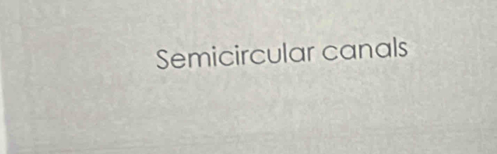 Semicircular canals