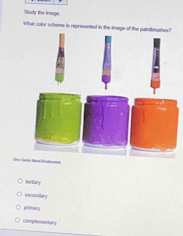 Study the image.
What color scheme is represented in the image of the paintbrushes?
Gino SaShutterstock
tertiary
secondary
primary
complementary