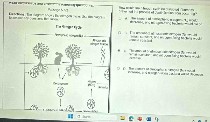 Read the passage and answer the following question(s). How would the nitrogen cycle be disrupted if humans
Passage 5092 prevented the process of denitrification from occurring?
Directions: The diagram shows the nitrogen cycle. Use the diagram A The amount of atmospheric nitrogen (N_2) would
to answer any questions that follow decrease, and nitrogen-fixing bacteria would die off
The Nitrogen Cycle
B The amount of atmospheric nitrogen (N_2)
remain constant, and nitrogen-fixing bacteria would would
remain constant
C. The amount of atmospheric nitrogen (N_2) would
remain constant, and nitrogen-fixing bacteria would
increase.
D The amount of atmospheric nitrogen (N_2) would
increase, and nitrogen-fixing bacteria would decrease
Search