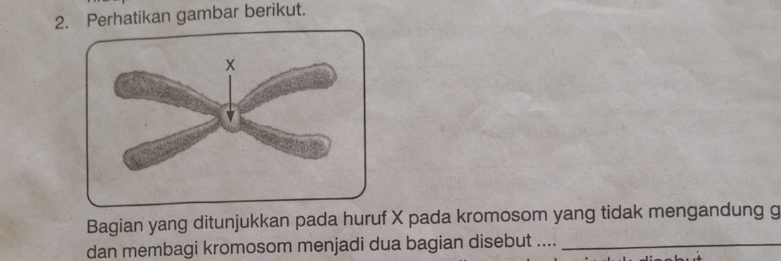 Perhatikan gambar berikut. 
Bagian yang ditunjukkan pada huruf X pada kromosom yang tidak mengandung g
dan membagi kromosom menjadi dua bagian disebut ...._