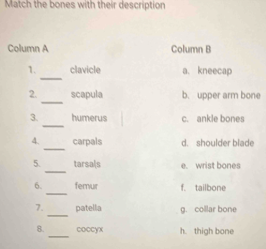 Match the bones with their description
Column A Column B
_
1、 clavicle a、 kneecap
_
2. scapula b. upper arm bone
_
3. humerus c. ankle bones
_
4、 carpals d. shoulder blade
_
5. tarsals e. wrist bones
_
6. femur f. tailbone
_
7. patella g. collar bone
8. _coccyx h. thigh bone