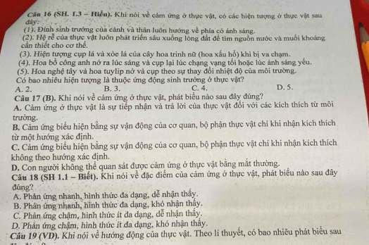 Cầu 16 (SH. 1.3 - Hiểu). Khi nói về cảm ứng ở thực vật, có các hiện tượng ở thực vật sau
đây:
(1). Đính sinh trưởng của cảnh và thân luỡn hướng về phía có ánh sáng.
(2). Hệ rễ của thực vật luôn phát triển sâu xuống lòng đất để tìm nguồn nước và muối khoáng
cần thiết cho cơ thể.
(3). Hiện tượng cụp lá và xòe lá của cây hoa trinh nữ (hoa xấu hổ) khi bị va chạm.
(4). Hoa bồ công anh nở ra lúc sáng và cụp lại lúc chạng vạng tối hoặc lúc ánh sáng yếu.
(5). Hoa nghệ tây và hoa tuylip nở và cụp theo sự thay đổi nhiệt độ của môi trường.
Có bao nhiêu hiện tượng là thuộc ứng động sinh trưởng ở thực vật?
A. 2. B. 3. C. 4. D. 5.
Câu 17 (B). Khi nói về cảm ứng ở thực vật, phát biểu nào sau đây đúng?
A. Cảm ứng ở thực vật là sự tiếp nhận và trả lời của thực vật đổi với các kích thích từ môi
trường.
B. Cảm ứng biểu hiện bằng sự vận động của cơ quan, bộ phận thực vật chi khi nhận kích thích
từ một hướng xác định.
C. Cảm ứng biểu hiện bằng sự vận động của cơ quan, bộ phận thực vật chỉ khi nhận kích thích
không theo hướng xác định.
D. Con người không thể quan sát được cảm ứng ở thực vật bằng mắt thường.
Câu 18 (SH 1.1 - Biết). Khi nói về đặc điểm của cảm ứng ở thực vật, phát biểu nào sau đây
đúng?
A. Phản ứng nhanh, hình thức đa dạng, dễ nhận thấy.
B. Phân ứng nhanh, hình thức đa dạng, khó nhận thây.
C. Phản ứng chậm, hình thức ít đa dạng, dễ nhận thầy.
D. Phản ứng chậm, hình thức ít đa dạng, khó nhận thây.
Câu 19 (VD). Khi nói về hướng động của thực vật. Theo lí thuyết, có bao nhiêu phát biểu sau