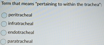 Term that means "pertaining to within the trachea":
peritracheal
infratracheal
endotracheal
paratracheal