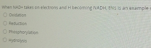 When NAD+ takes on electrons and H becoming NADH, this is an example
Oxidation
Reduction
Phosphorylation
Hydrolysis