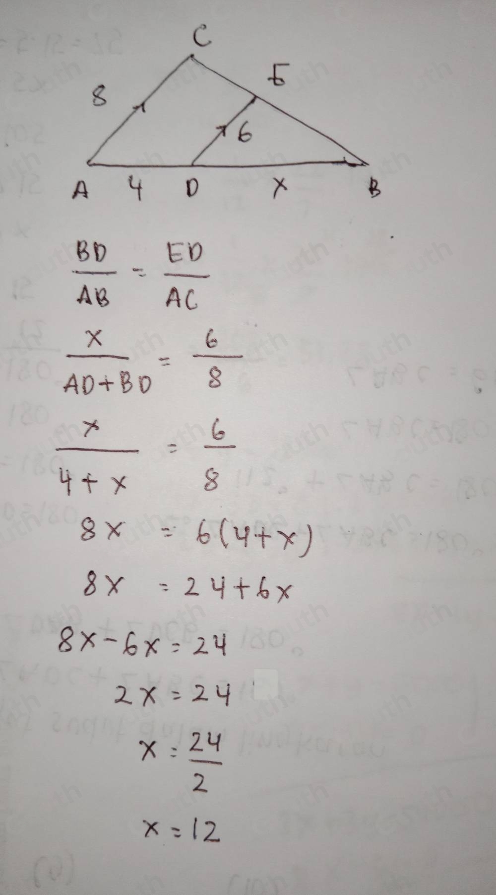  BD/AB = ED/AC 
 x/AD+BD = 6/8 
 x/4+x = 6/8 
8x=6(4+x)
8x=24+6x
8x-6x=24
2x=24
x= 24/2 
x=12