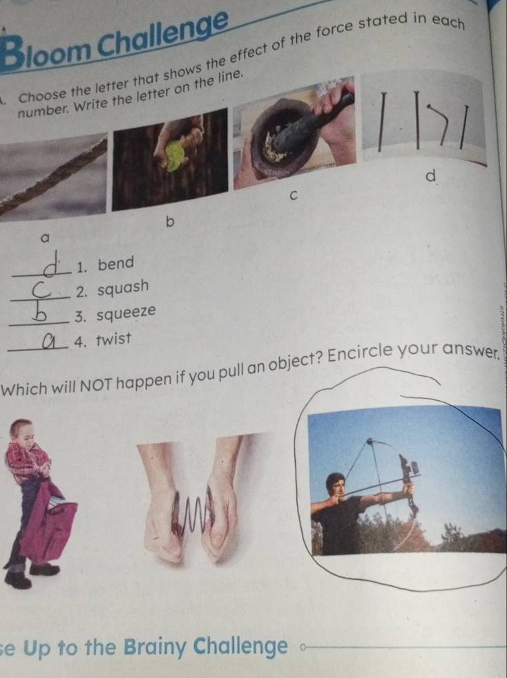 Bloom Challenge 
Choose the letter that shows the effect of the force stated in each 
number. Write the letter on the line. 
C 
b 
a 
_1. bend 
_2. squash 
_3. squeeze 
_4. twist 
Which will NOT happen if you pull an oect? Encircle your answer. 
se Up to the Brainy Challenge