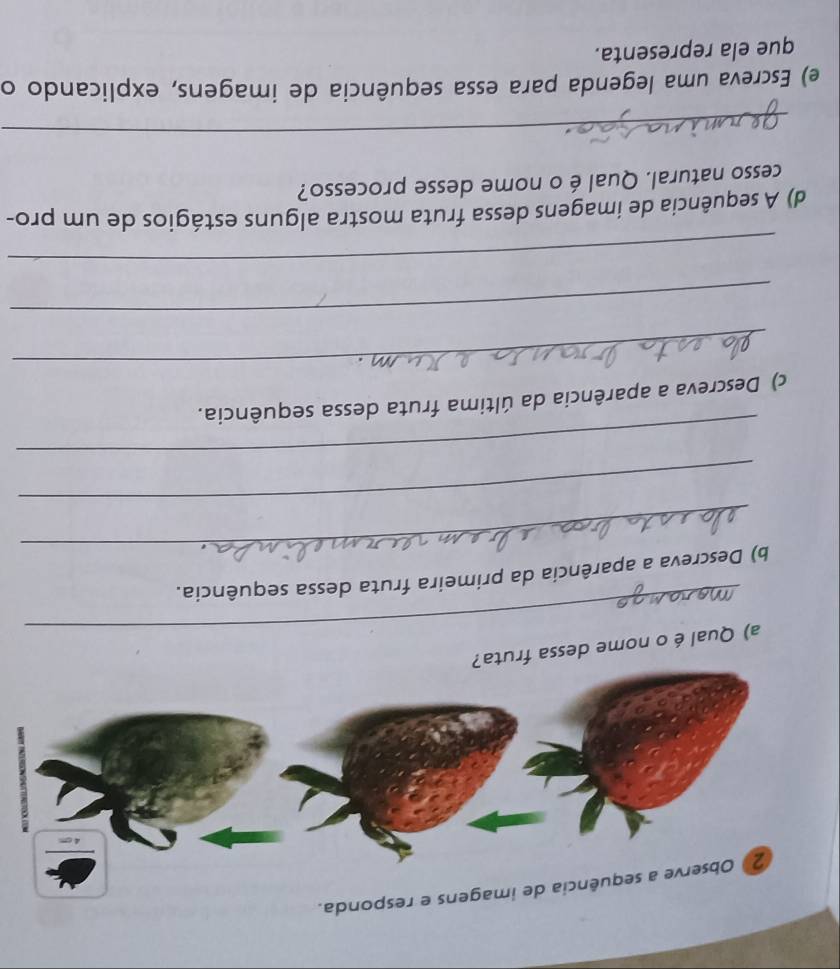 cia de imagens e responda. 
_ 
a) Qual é o nome dessa fruta? 
_ 
b) Descreva a aparência da primeira fruta dessa sequência. 
_ 
_ 
_ 
c) Descreva a aparência da última fruta dessa sequência. 
_ 
_ 
d) A sequência de imagens dessa fruta mostra alguns estágios de um pro- 
cesso natural. Qualé o nome desse processo? 
_ 
e) Escreva uma legenda para essa sequência de imagens, explicando o 
que ela representa.