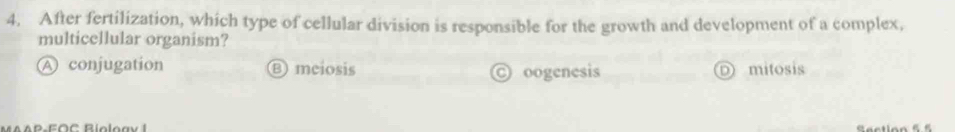 After fertilization, which type of cellular division is responsible for the growth and development of a complex,
multicellular organism?
A conjugation ⑧ mciosis mitosis
© oogenesis