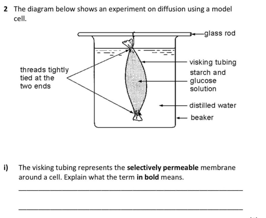 The diagram below shows an experiment on diffusion using a model 
cell. 
i) The visking tubing represents the selectively permeable membrane 
around a cell. Explain what the term in bold means. 
_ 
_