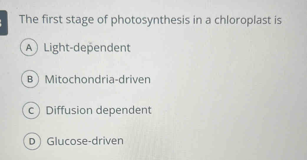 The first stage of photosynthesis in a chloroplast is
ALight-dependent
BMitochondria-driven
c Diffusion dependent
DGlucose-driven