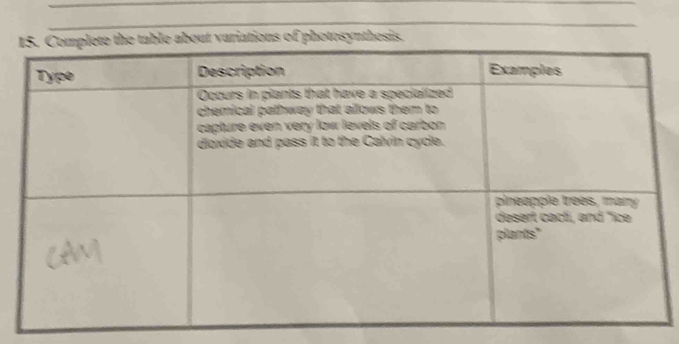 ions of photosynthesi