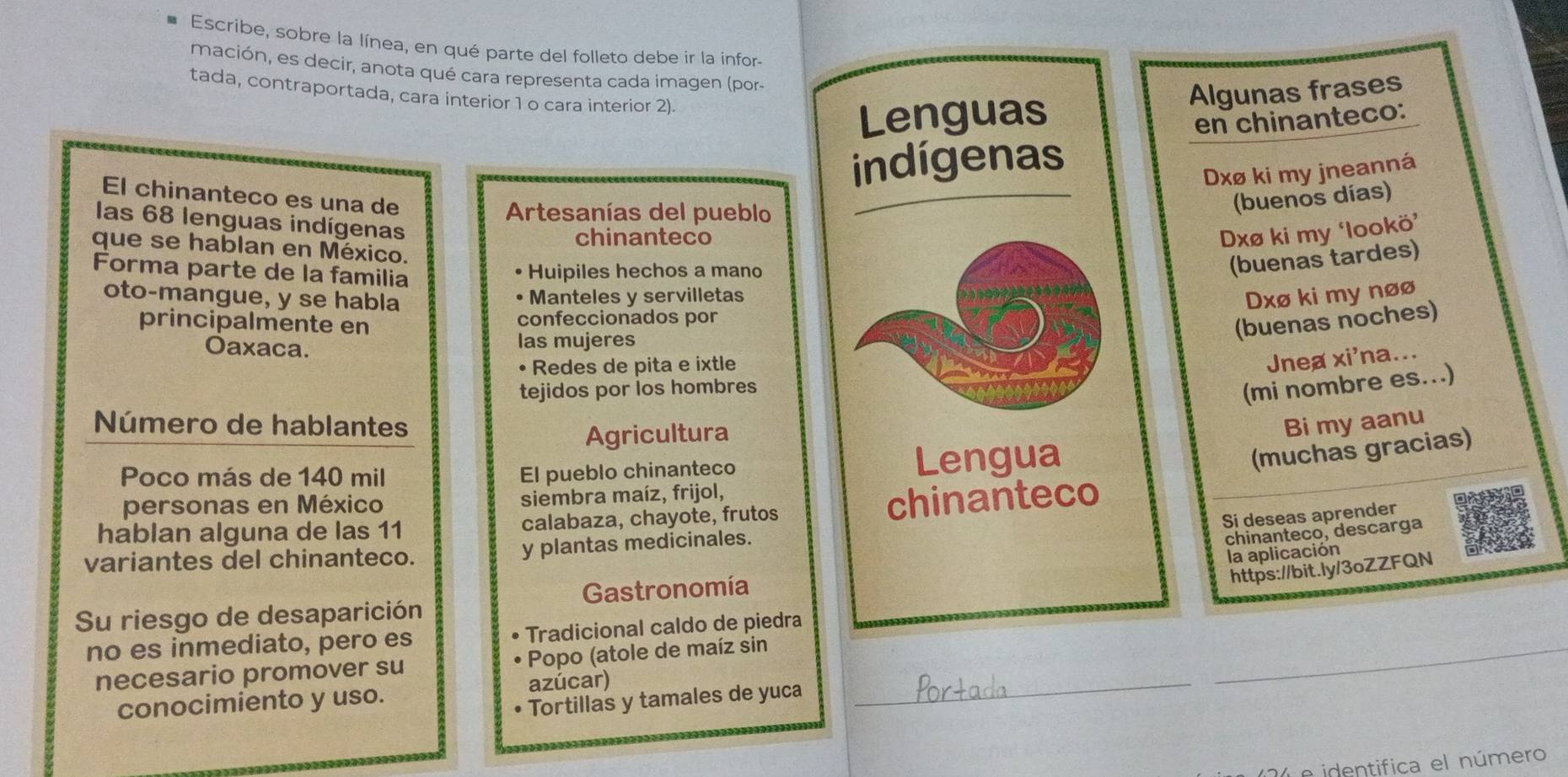 Escribe, sobre la línea, en qué parte del folleto debe ir la infor-
mación, es decir, anota qué cara representa cada imagen (por-
tada, contraportada, cara interior 1 o cara interior 2).
Lenguas Algunas frases
en chinanteco:
indígenas
Dxø ki my jneanná
El chinanteco es una de (buenos días)
Artesanías del pueblo
las 68 lenguas indígenas
chinanteco
Dxø ki my ‘lookö’
que se hablan en México,
Forma parte de la familia
Huipiles hechos a mano
(buenas tardes)
oto-mangue, y se habla Dxø ki my nøø
• Manteles y servilletas
principalmente en confeccionados por
(buenas noches)
Oaxaca. las mujeres
• Redes de pita e ixtle
Jnea xi'na...
tejidos por los hombres
(mi nombre es...)
Número de hablantes Bi my aanu
Agricultura
Poco más de 140 mil El pueblo chinanteco
Lengua
(muchas gracias)
personas en México siembra maíz, frijol,
hablan alguna de las 11 calabaza, chayote, frutos chinanteco
Si deseas aprender
variantes del chinanteco. y plantas medicinales.
chinanteco, descarga
la aplicación
https://bit.ly/3oZZFQN
Gastronomía
Su riesgo de desaparición
no es inmediato, pero es Tradicional caldo de piedra
_
necesario promover su Popo (atole de maíz sin
azúcar)
_
conocimiento y uso.
Tortillas y tamales de yuca
e identifica el número