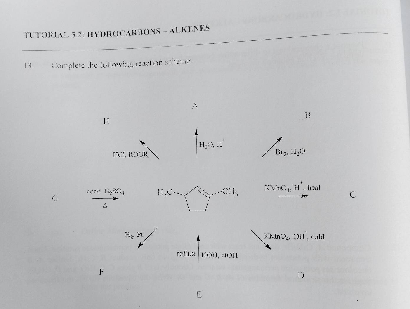 TUTORIAL 5.2: HYDROCARBONS - ALKENES 
13. Complete the following reaction scheme. 
B
H
H_2O, H^+
HCl, ROOR
Br_2, H_2O
cone. H_2SO_4 H_3C · CH_3 KMnO_4, H^+ , heat 
G 
C 
△
KMnO_4, OH^-
H_2, Pt , cold 
reflux KOH, etOH 
F 
D