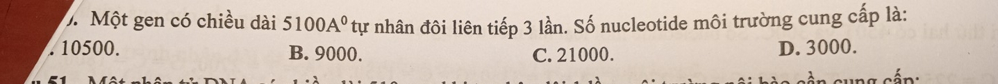 Một gen có chiều dài 5100A^0 tự nhân đôi liên tiếp 3 lần. Số nucleotide môi trường cung cấp là:. 10500. B. 9000. C. 21000. D. 3000.