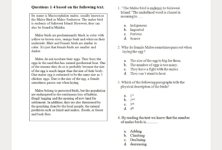 based on the following text. 1. “The Maleo bird is endemic to Sulawesi
Island.”The underlined word is closest in
Its name is Macrocephalon maleo, usually known as meaning to_
the Malco Bird or Maleo Senkawor. The maleo bird
is endemic of Sulawesi Island. However, they can a. Indigenous
also be found in Maluku b. Imported
Maleo birds are predominantly black in color with c. Furious
yellow to brown eyes, orange beak and white on their d. Scarce
underside. Male and Female birds are similar in
color. It's just that female birds are smaller and 2. Why do female Maleo sometimes pass out when
darker. laying the egg ?
Maleo do not incubate their eggs. They bury the a. The size of the egg to big for them.
eggs in the sand that has natural geothermal heat. One b. The number of eggs is too many.
of the reasons they do so is probably because the size c. They have a fight with the males.
of the egg is much larger than the size of their body. d. They can’t stand to heat.
One maleo egg is estimated to be the same size as 5
chicken eggs. Due to the size of the egg, a female
sometimes passes out when laying. 3. Which of the following paragraphs tells the
physical description of the birds?
Maleo belong to protected birds, but the population
are endangered to the continuous loss of habitat, a. 1^(st)
illegal logging and the opening of new land for b. 2^(nd)
settlement. In addition, they are also threatened by c. 3^(rd)
the poaching done by the local people, the natural
predators such as lizard and snakes, floods, or forest d. 4^(th)
and bush fires.
4. By reading the text we know that the number
of maleo birds is_
a. Adding
b. Climbing
c. Declining
d. decreasing