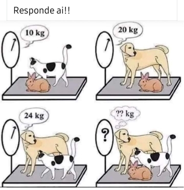 Responde ai!!
10 kg 20 kg
I