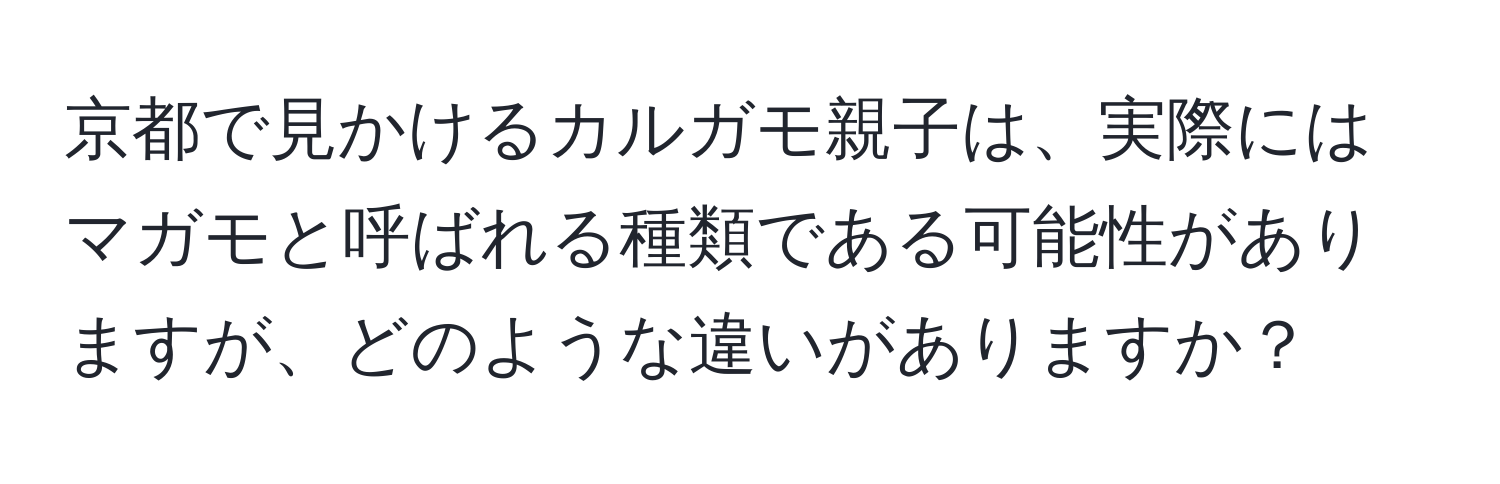 京都で見かけるカルガモ親子は、実際にはマガモと呼ばれる種類である可能性がありますが、どのような違いがありますか？