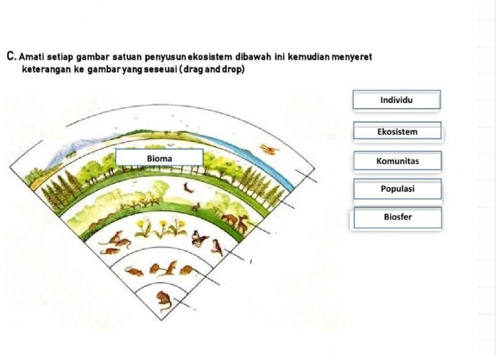 Amati setiap gambar satuan penyusun ekosistem dibawah ini kemudian menyeret
keterangan ke gambar yang seseuai ( drag and drop)
Individu
Ekosistem
Komunitas
Populasi
Biosfer
