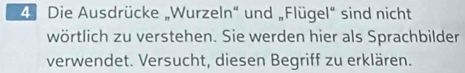 Die Ausdrücke „Wurzeln“ und „Flügel“ sind nicht 
wörtlich zu verstehen. Sie werden hier als Sprachbilder 
verwendet. Versucht, diesen Begriff zu erklären.