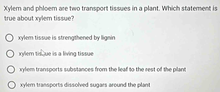 Xylem and phloem are two transport tissues in a plant. Which statement is
true about xylem tissue?
xylem tissue is strengthened by lignin
xylem tis ue is a living tissue
xylem transports substances from the leaf to the rest of the plant
xylem transports dissolved sugars around the plant