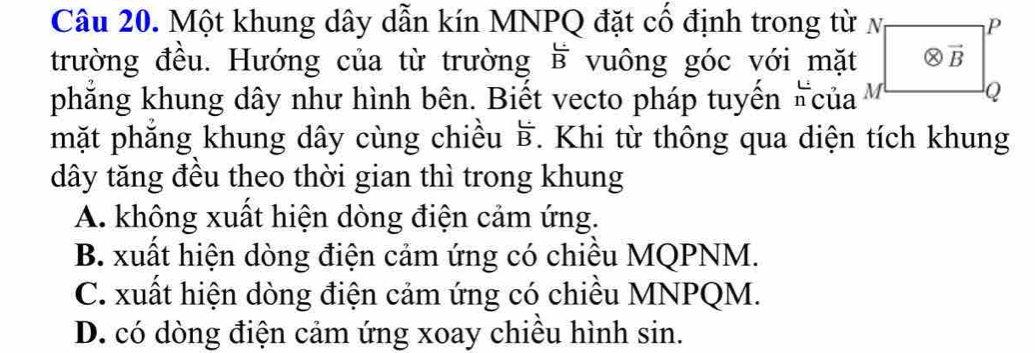 Một khung dây dẫn kín MNPQ đặt cố định trong từ v
trường đều. Hướng của từ trường vuông góc với mặt overline B
phẳng khung dây như hình bên. Biết vecto pháp tuyến ' của 
mặt phắng khung dây cùng chiều overline B. Khi từ thông qua diện tích khung
dây tăng đều theo thời gian thì trong khung
A. không xuất hiện dòng điện cảm ứng.
B. xuất hiện dòng điện cảm ứng có chiều MQPNM.
C. xuất hiện dòng điện cảm ứng có chiều MNPQM.
D. có dòng điện cảm ứng xoay chiều hình sin.