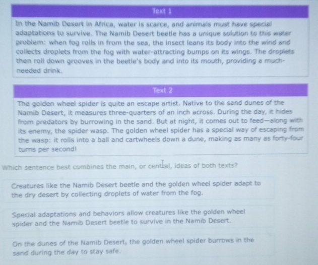 Text 1
In the Namib Desert in Africa, water is scarce, and animals must have special
adaptations to survive. The Namib Desert beetle has a unique solution to this water
problem: when fog rolls in from the sea, the insect leans its body into the wind and
collects droplets from the fog with water-attracting bumps on its wings. The droplets
then roll down grooves in the beetle's body and into its mouth, providing a much-
needed drink.
Text 2
The golden wheel spider is quite an escape artist. Native to the sand dunes of the
Namib Desert, it measures three-quarters of an inch across. During the day, it hides
from predators by burrowing in the sand. But at night, it comes out to feed—along with
its enemy, the spider wasp. The golden wheel spider has a special way of escaping from
the wasp: it rolls into a ball and cartwheels down a dune, making as many as forty-four
turns per second!
Which sentence best combines the main, or central, ideas of both texts?
Creatures like the Namib Desert beetle and the golden wheel spider adapt to
the dry desert by collecting droplets of water from the fog.
Special adaptations and behaviors allow creatures like the golden wheel
spider and the Namib Desert beetle to survive in the Namib Desert.
On the dunes of the Namib Desert, the golden wheel spider burrows in the
sand during the day to stay safe.