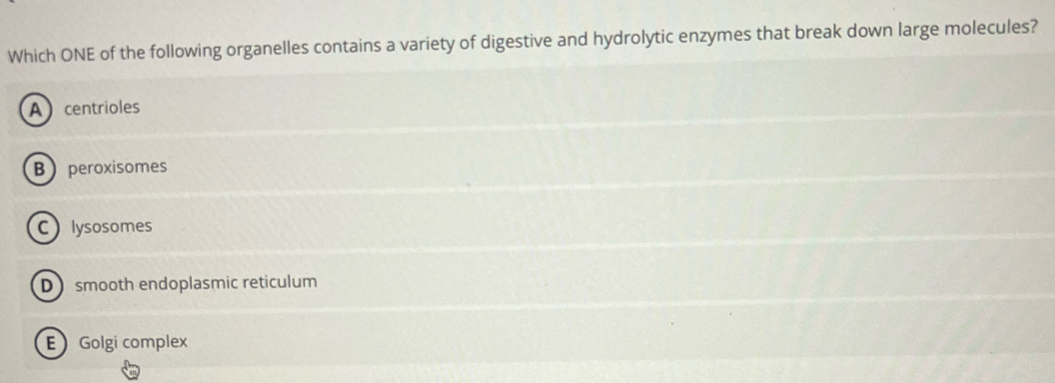 Which ONE of the following organelles contains a variety of digestive and hydrolytic enzymes that break down large molecules?
Acentrioles
B peroxisomes
C lysosomes
D smooth endoplasmic reticulum
E Golgi complex