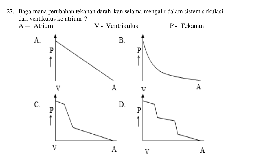 Bagaimana perubahan tekanan darah ikan slama mengalir dalam sistem sirkulasi
dari ventikulus ke atrium ?
A — Atrium V - Ventrikulus P - Tekanan
A.
.
V
C.
D.
P
P

V
A V
A