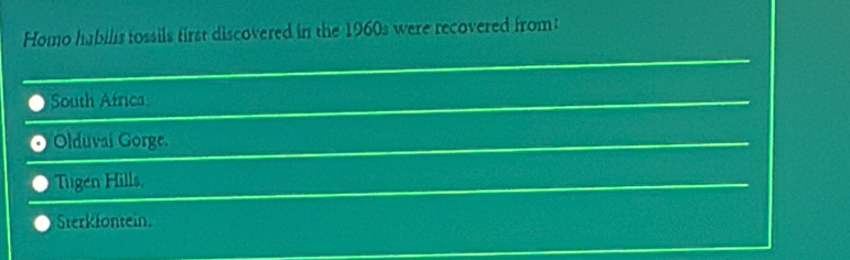 Homo habilis tossils first discovered in the 1960s were recovered from:
South Africa
Olduvai Gorge.
Tugen Hills.
Sterkfontein.