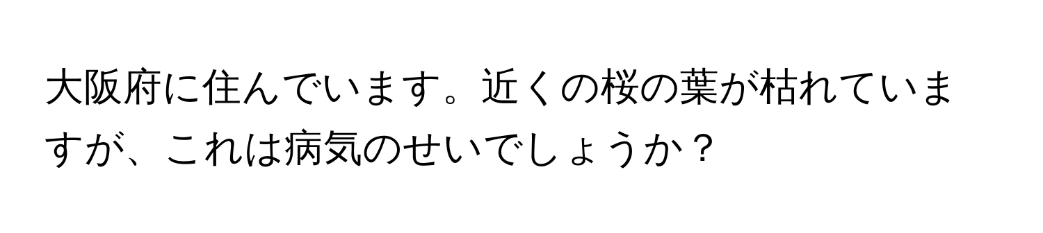 大阪府に住んでいます。近くの桜の葉が枯れていますが、これは病気のせいでしょうか？