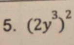 (2y^3)^2