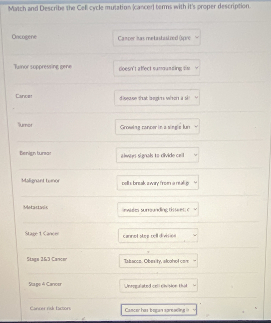 Match and Describe the Cell cycle mutation (cancer) terms with it's proper description.
Oncogene Cancer has metastasized (spre
Tumor suppressing gene doesn't affect surrounding tis!
Cancer disease that begins when a sir
Tumor Growing cancer in a single lun
Benign tumor always signals to divide cell
Malignant tumor cells break away from a malig!
Metastasis invades surrounding tissues; c
Stage 1 Cancer cannot stop cell division
Stage 2 & 3 Cancer Tabacco, Obesity, alcohol con:
Stage 4 Cancer Unregulated cell division that
Cancer risk factors Cancer has begun spreading ir