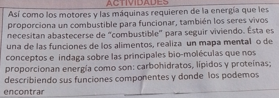 ACTIVIDADES 
Así como los motores y las máquinas requieren de la energía que les 
proporciona un combustible para funcionar, también los seres vivos 
necesitan abastecerse de “combustible” para seguir viviendo. Ésta es 
una de las funciones de los alimentos, realiza un mapa mental o de 
conceptos e indaga sobre las principales bio-moléculas que nos 
proporcionan energía como son: carbohidratos, lípidos y proteínas; 
describiendo sus funciones componentes y donde los podemos 
encontrar