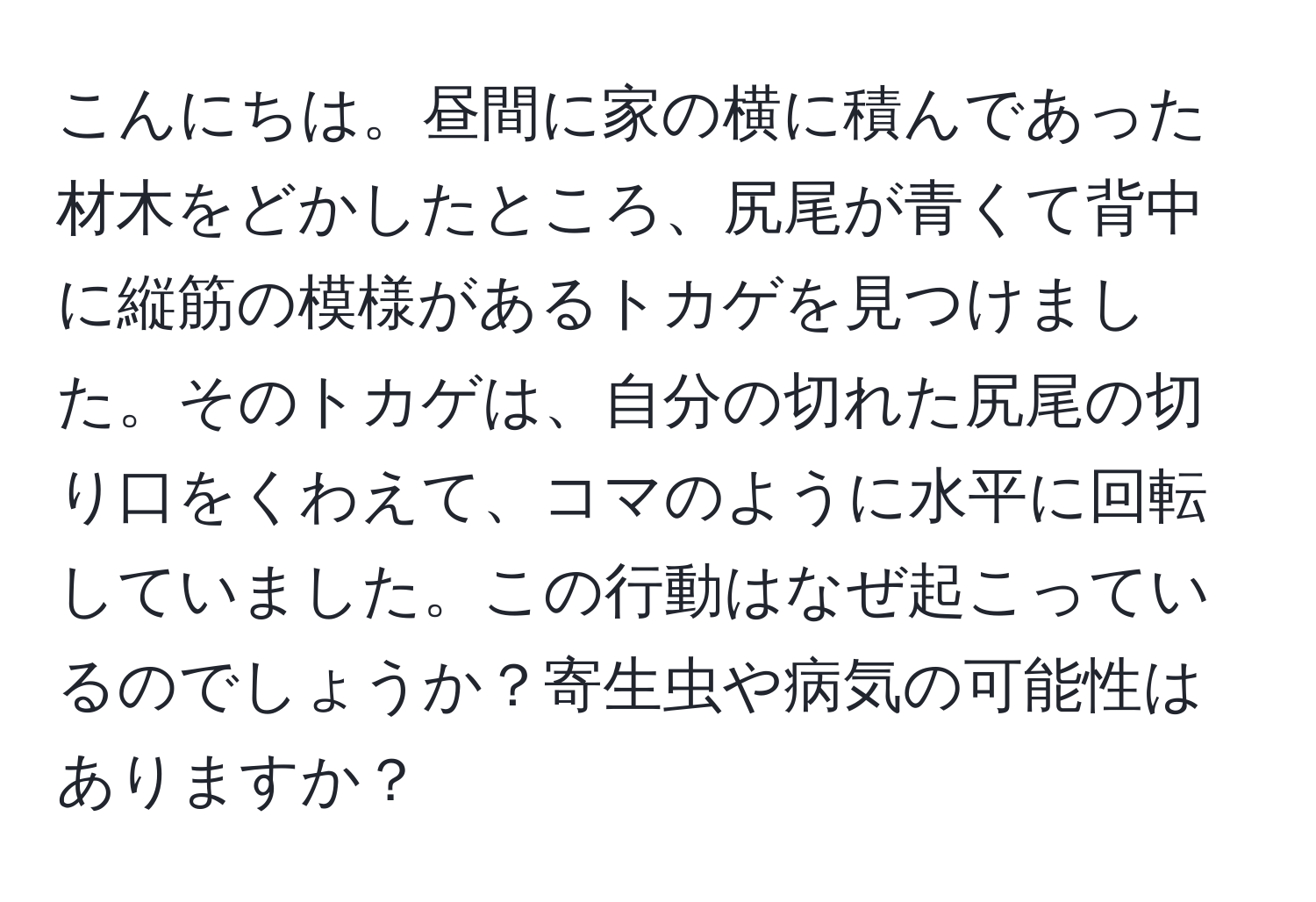 こんにちは。昼間に家の横に積んであった材木をどかしたところ、尻尾が青くて背中に縦筋の模様があるトカゲを見つけました。そのトカゲは、自分の切れた尻尾の切り口をくわえて、コマのように水平に回転していました。この行動はなぜ起こっているのでしょうか？寄生虫や病気の可能性はありますか？