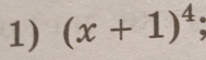 (x+1)^4