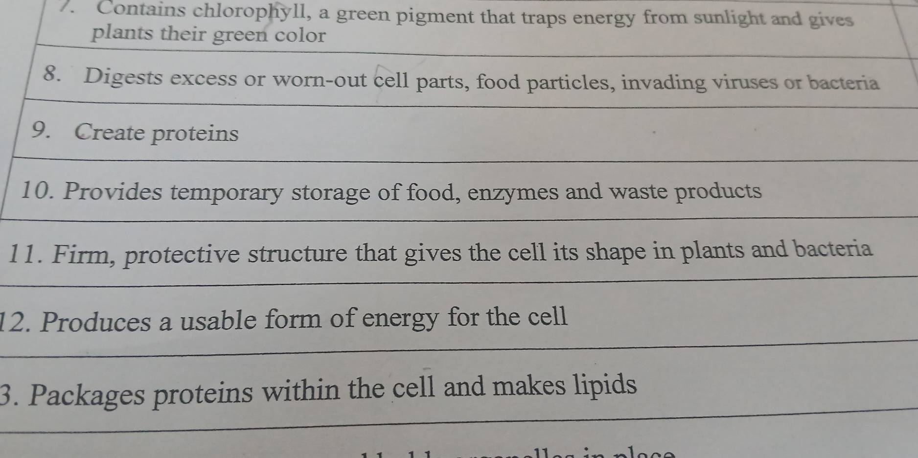 Contains chlorophyll, a green pigment that traps energy from sunlight and gives 
plants their green color 
8. Digests excess or worn-out cell parts, food particles, invading viruses or bacteria 
9. Create proteins 
10. Provides temporary storage of food, enzymes and waste products 
l1. Firm, protective structure that gives the cell its shape in plants and bacteria 
12. Produces a usable form of energy for the cell 
3. Packages proteins within the cell and makes lipids