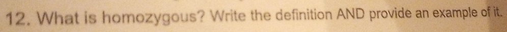 What is homozygous? Write the definition AND provide an example of it.