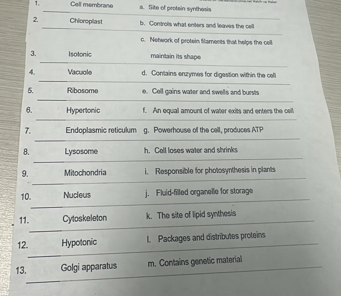 Cell membrane a. Site of protein synthesis
_
2. _Chloroplast b. Controls what enters and leaves the cell
c. Network of protein filaments that helps the cell
_
3. Isotonic maintain its shape
_
4. Vacuole d. Contains enzymes for digestion within the cell
5. Ribosome e. Cell gains water and swells and bursts
_
6. Hypertonic f. An equal amount of water exits and enters the cell
_
7. Endoplasmic reticulum g. Powerhouse of the cell, produces ATP
_
8. Lysosome h. Cell loses water and shrinks
__
9. Mitochondria i. Responsible for photosynthesis in plants
_
10. Nucleus j. Fluid-filled organelle for storage
_
11. Cytoskeleton k. The site of lipid synthesis
_
_
_
12. Hypotonic 1. Packages and distributes proteins
_
_
13. Golgi apparatus m. Contains genetic material
_