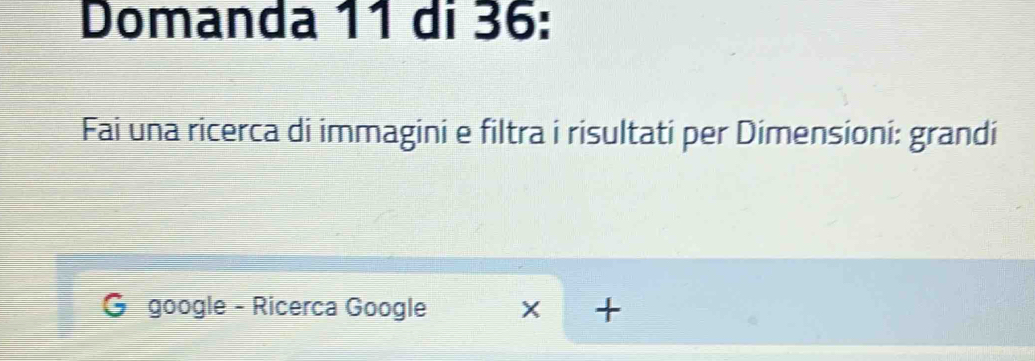 Domanda 11 di 36: 
Fai una ricerca di immagini e filtra i risultati per Dimensioni: grandi 
I google - Ricerca Google +