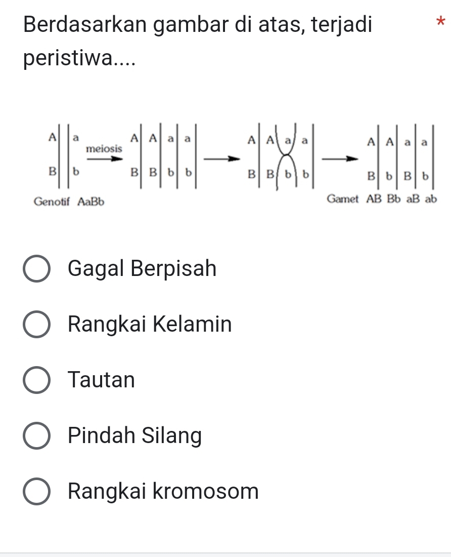 Berdasarkan gambar di atas, terjadi
*
peristiwa....
Gagal Berpisah
Rangkai Kelamin
Tautan
Pindah Silang
Rangkai kromosom