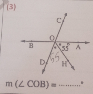 (3)
m(∠ COB)= _。