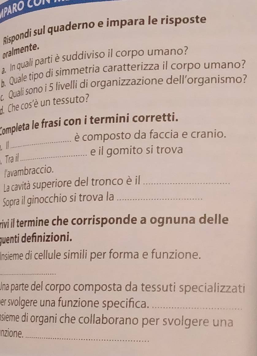 PAR 
Rispondi sul quaderno e impara le risposte 
pralmente. 
a. In quali parti è suddiviso il corpo umano? 
b. Quale tipo di simmetria caratterizza il corpo umano? 
c. Quali sono i 5 livelli di organizzazione dell’organismo? 
d. Che cos'è un tessuto? 
Completa le frasi con i termini corretti. 
_ 
è composto da faccia e cranio. 
I 
_e il gomito si trova 
. Tra il 
l'avambraccio. 
La cavità superiore del tronco è il_ 
Sopra il ginocchio si trova la_ 
rivi il termine che corrisponde a ognuna delle 
quenti definizioni. 
Insieme di cellule simili per forma e funzione. 
_ 
Una parte del corpo composta da tessuti specializzati 
her svolgere una funzione specifica._ 
ansieme di organi che collaborano per svolgere una 
Inzione._