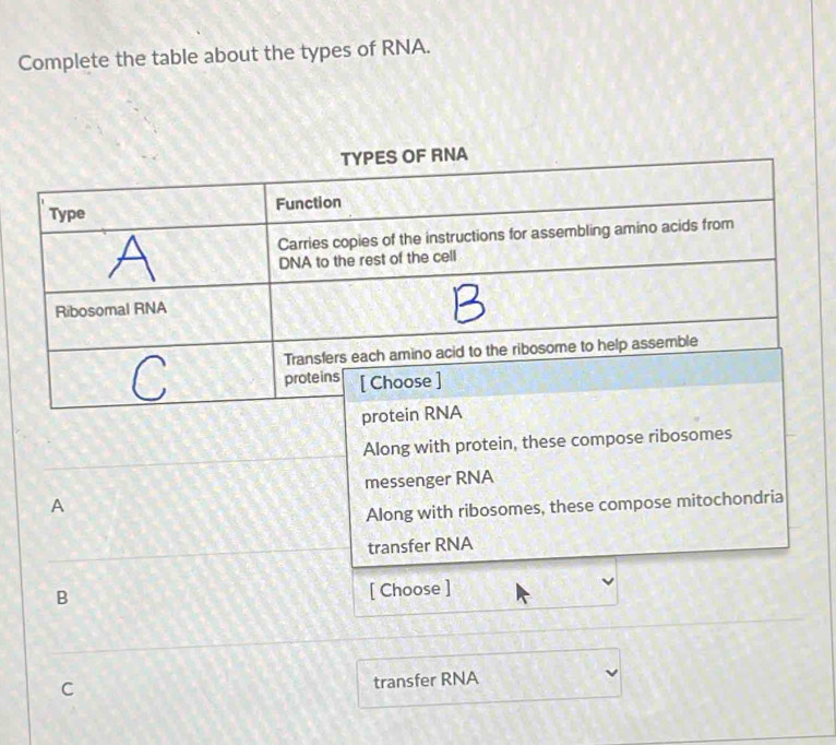 Complete the table about the types of RNA.
TYPES OF RNA
Type Function
Carries copies of the instructions for assembling amino acids from
DNA to the rest of the cell
Ribosomal RNA
C Transfers each amino acid to the ribosome to help assemble
proteins [ Choose ]
protein RNA
Along with protein, these compose ribosomes
messenger RNA
A
Along with ribosomes, these compose mitochondria
transfer RNA
B
[ Choose ]
C
transfer RNA