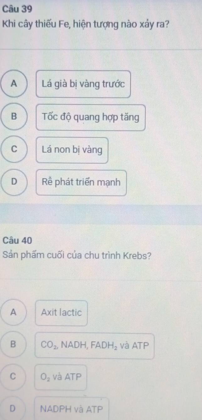 Khi cây thiếu Fe, hiện tượng nào xảy ra?
A Lá già bị vàng trước
B Tốc độ quang hợp tăng
C Lá non bị vàng
D Rể phát triển mạnh
Câu 40
Sản phẩm cuối của chu trình Krebs?
A Axit lactic
B CO_2 , NADH, FADH_2 và ATP
C O_2 và ATP
D NADPH và ATP