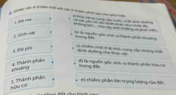 Ghép các ô ở bên trái với các 6 ở bên phải sao cho phi hợn
a) khả năng cung cấp nước, chất dình dường
1. Đá mẹ
Và Các yêu tổ cần thất khác nh nêc đồ
không khi,. cho cây sinh trưởng va phát tiền
2. Sinh vật
b) là nguồn gốc sinh ra thành phần khoảng
trong đất.
3. Độ phi
C) chiếm một tỉ lệ nhỏ, cung cấp những chất
dịnh dường cho thực vật.
khoáng 4. Thành phần d) là nguồn gốc sinh ra thành phần hữu cơ
trong đất.
5. Thành phần
e) chiếm phần lớn trọng lượng của đất
hữu cơ