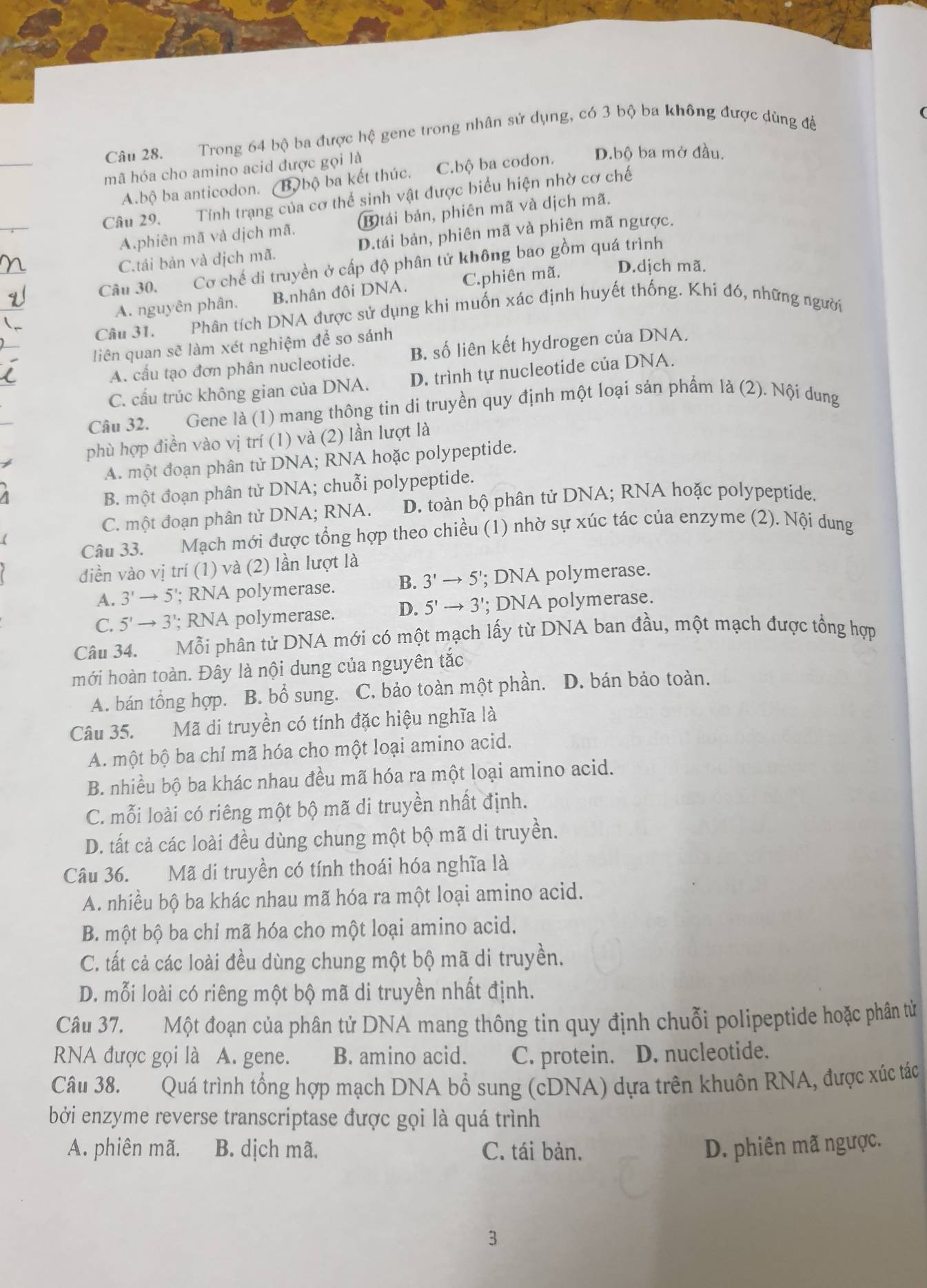 Trong 64 bộ ba được hệ gene trong nhân sử dụng, có 3 bộ ba không được dùng để
mã hóa cho amino acid được gọi là
A.bộ ba anticodon. (B) bộ ba kết thúc. C.bộ ba codon. D.bộ ba mở đầu.
Câu 29. Tính trạng của cơ thể sinh vật được biểu hiện nhờ cơ chế
A.phiên mã và dịch mã. B tái bản, phiên mã và dịch mã.
C.tái bản và dịch mã. D.tái bản, phiên mã và phiên mã ngược.
Câu 30, Cơ chế di truyền ở cấp độ phân tử không bao gồm quá trình
A. nguyên phân. B.nhân đội DNA. C.phiên mã. D.dịch mã.
Câu 31.  Phân tích DNA được sử dụng khi muốn xác định huyết thống. Khi đó, những người
liên quan sẽ làm xét nghiệm để so sánh
A. cấu tạo đơn phân nucleotide. B. số liên kết hydrogen của DNA.
C. cấu trúc không gian của DNA. D. trình tự nucleotide của DNA.
Câu 32. 1Gene là (1) mang thông tin di truyền quy định một loại sản phẩm là (2). Nội dung
phù hợp điền vào vị trí (1) và (2) lần lượt là
A. một đoạn phân tử DNA; RNA hoặc polypeptide.
B. một đoạn phân tử DNA; chuỗi polypeptide.
C. một đoạn phân tử DNA; RNA. D. toàn bộ phân tử DNA; RNA hoặc polypeptide.
Câu 33. Mạch mới được tổng hợp theo chiều (1) nhờ sự xúc tác của enzyme (2). Nội dung
điền vào vị trí (1) và (2) lần lượt là
A. 3'to 5; RNA polymerase. B. 3'to 5' '; DNA polymerase.
C. 5'to 3'; RNA polymerase. D. 5'to 3'; DNA polymerase.
Câu 34. Mỗi phân tử DNA mới có một mạch lấy từ DNA ban đầu, một mạch được tổng hợp
mới hoàn toàn. Đây là nội dung của nguyên tắc
A. bán tổng hợp. B. bổ sung. C. bảo toàn một phần. D. bán bảo toàn.
Câu 35. Mã di truyền có tính đặc hiệu nghĩa là
A. một bộ ba chỉ mã hóa cho một loại amino acid.
B. nhiều bộ ba khác nhau đều mã hóa ra một loại amino acid.
C. mỗi loài có riêng một bộ mã di truyền nhất định.
D. tất cả các loài đều dùng chung một bộ mã di truyền.
Câu 36. Mã di truyền có tính thoái hóa nghĩa là
A. nhiều bộ ba khác nhau mã hóa ra một loại amino acid.
B. một bộ ba chỉ mã hóa cho một loại amino acid.
C. tất cả các loài đều dùng chung một bộ mã di truyền.
D. mỗi loài có riêng một bộ mã di truyền nhất định.
Câu 37. Một đoạn của phân tử DNA mang thông tin quy định chuỗi polipeptide hoặc phân tử
RNA được gọi là A. gene. B. amino acid. C. protein. D. nucleotide.
Câu 38. Quá trình tổng hợp mạch DNA bổ sung (cDNA) dựa trên khuôn RNA, được xúc tác
bởi enzyme reverse transcriptase được gọi là quá trình
A. phiên mã. B. dịch mã. C. tái bản. D. phiên mã ngược.
3